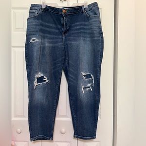 Lane Bryant, Distressed Jeans